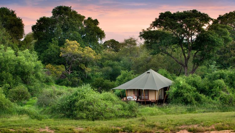 &Beyond Ngala Tented Camp, Timbavati