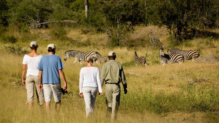 &Beyond Ngala Tented Camp - Walking Safari