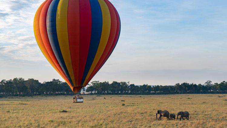 Governors' Camp - Ballonfahrt