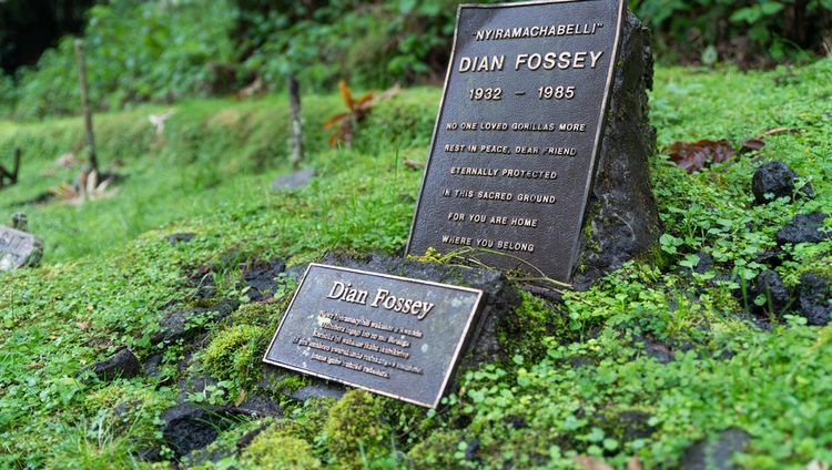 Sabyinyo Silverback Lodge - Diane Fossey Memo