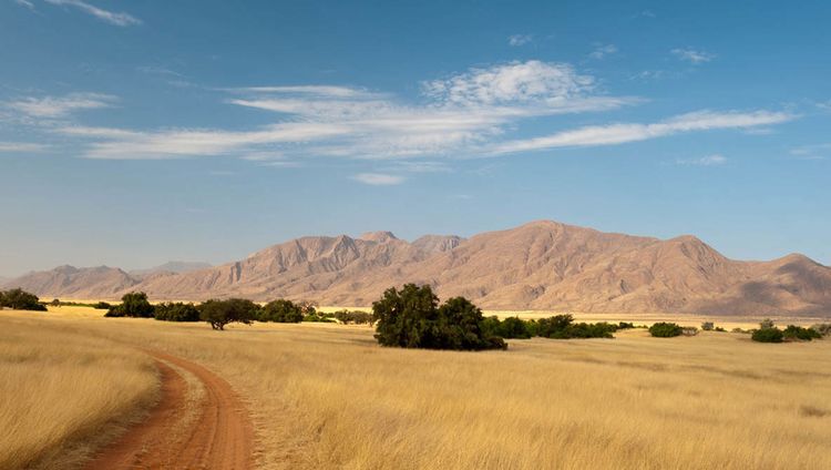 Okahirongo River Lodge - Strasse zur Lodge