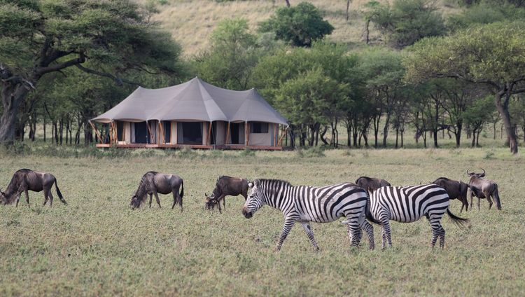 Kantabile Afrika Cherero Camp, Serengeti Nationalpark