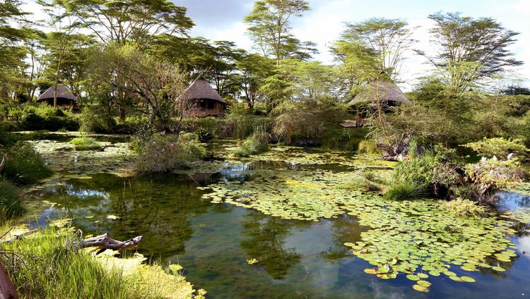 Finch Hattons Luxury Tented Camp, Tsavo West Nationalpark