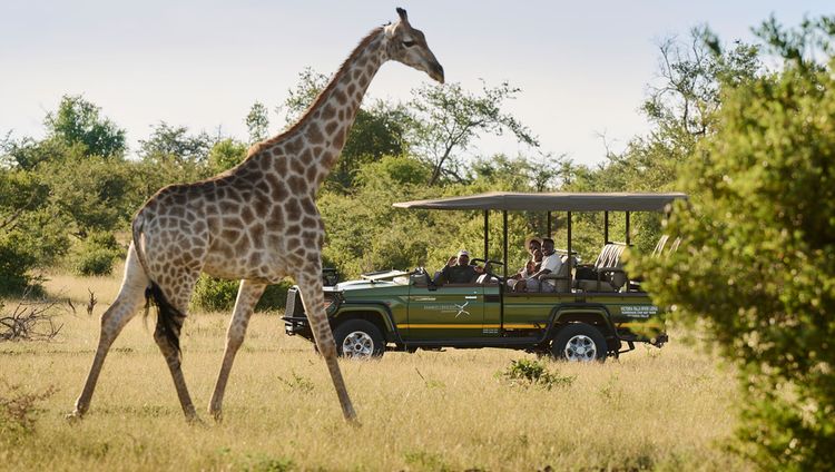 Victoria Falls River Lodge - Pirschfahrt