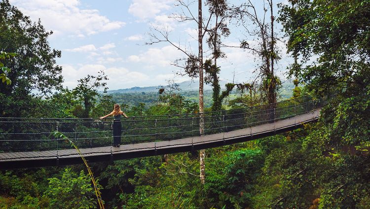 Nayara Tented Camp - Hängebrücke