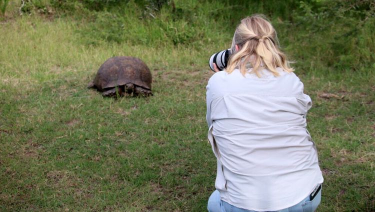 Garden Route Safari Camp - Schildkröte als Fo