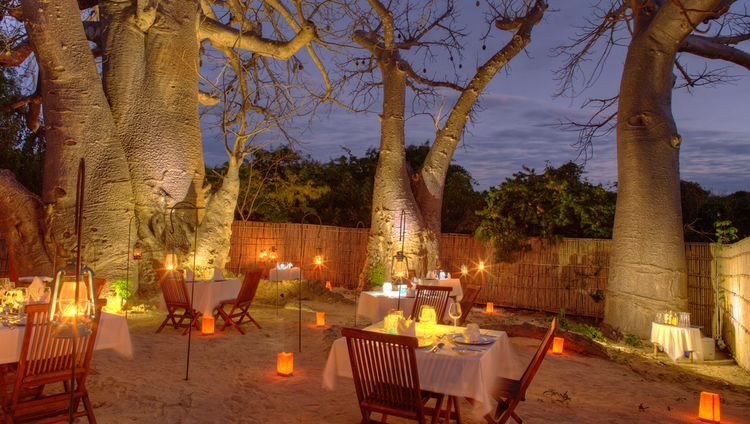 Azura Quilalea - Dinner unter dem Baobab Baum