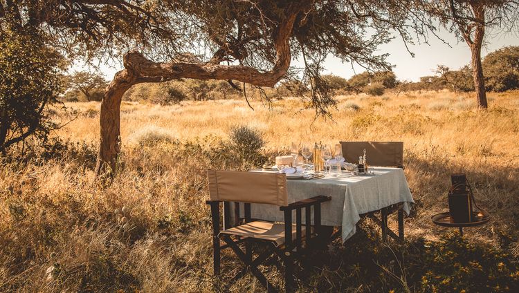 Gmundner Lodge - Bush Lunch