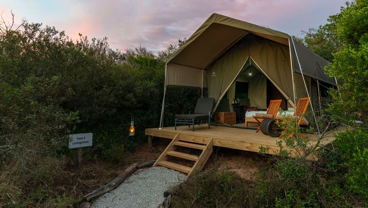 Shamwari Private Game Reserve - Explorer Camp