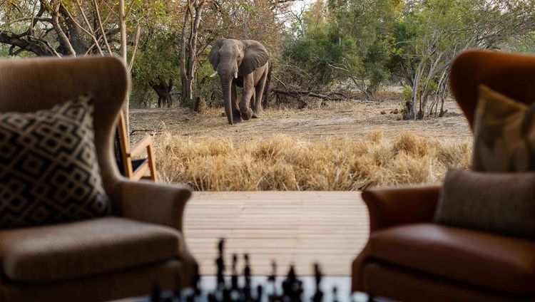 Monwana Game Lodge, Thornybush Game Reserve