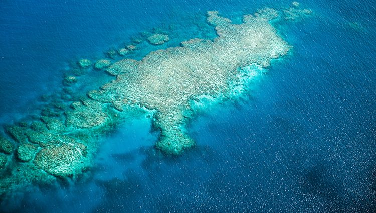 COMO Laucala Island - Luftaufnahme des Riffs