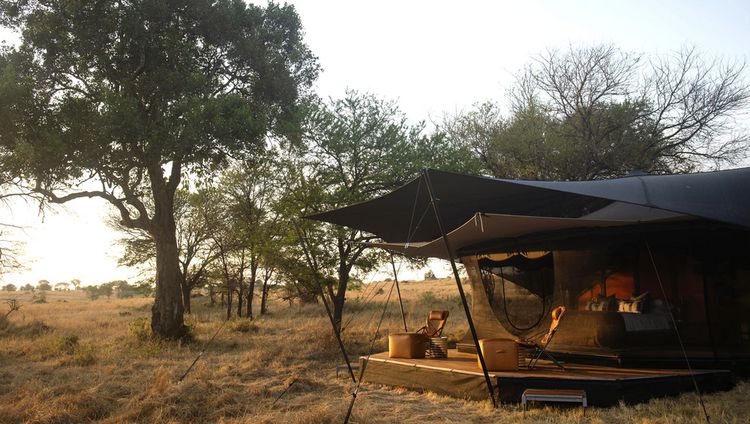 Siringit Collection - Migration Camp Luxuszel