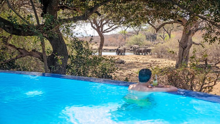 Tuningi Safari Lodge - Elefanten am Pool