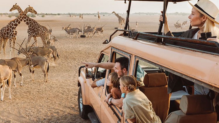 Anantara Desert Island Resort - Tierbeobachtu