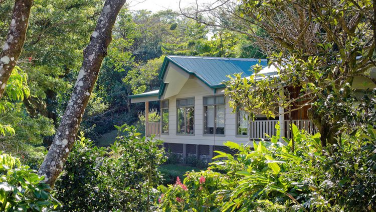 Senda Monteverde