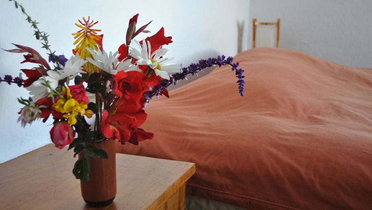 Ecolodge La Estancia - Blumen im Zimmer