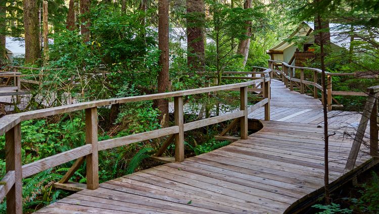 Clayoquot Wilderness Lodge - Stege in der Lod