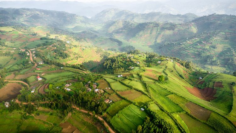 Sanctuary Gorilla Forest Lodge - Berge von Ru