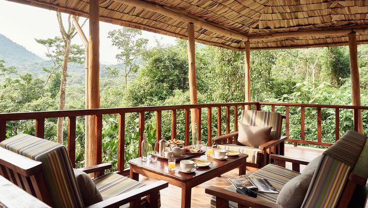 Sanctuary Gorilla Forest Lodge - Tea Time