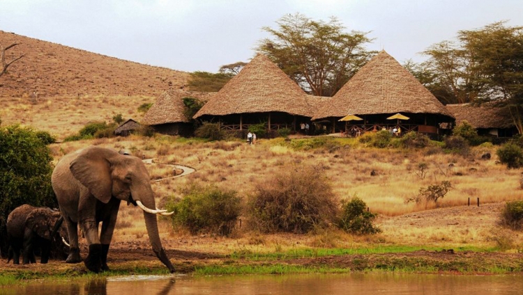 Elewana Tortilis Camp, Amboseli National Park