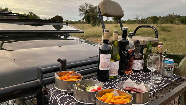 Sabi Sabi Bush Lodge - Sundowner