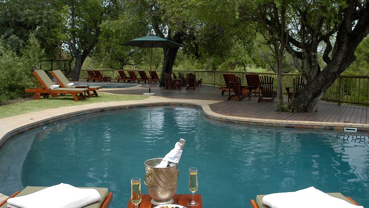 Sabi Sabi Bush Lodge - Pool