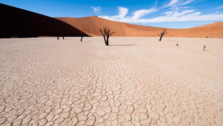 Little Kulala - Im Dead Vlei