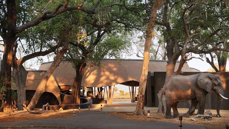 Savute Elephant Lodge, A Belmond Safari - Ele