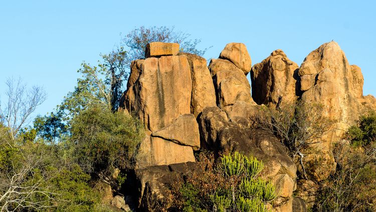 Singita Lebombo Lodge - Landschaft