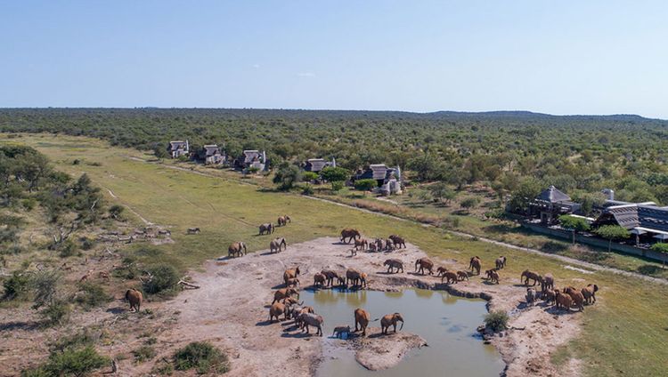 Jamala Madikwe Royal Safari Lodge, Madikwe