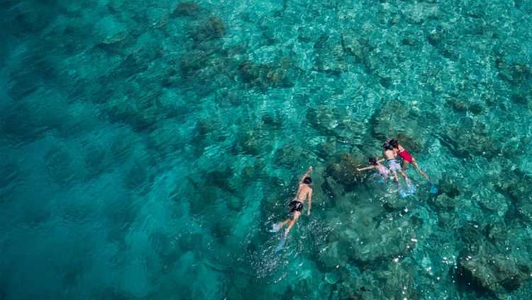 Anantara Dhigu Maleddives Resort - Schorcheln