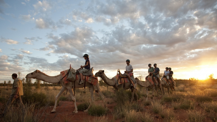 Longitude 131° - Kamelritt durch das Outback