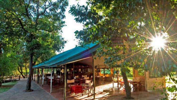 Governors' Private Camp, Masai Mara