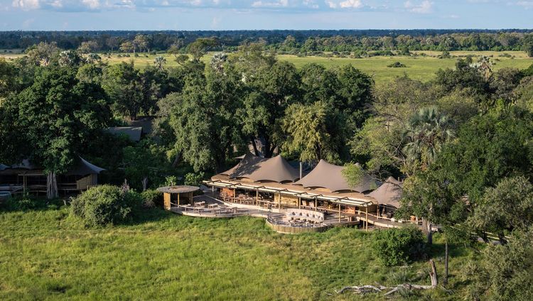 Mombo Camp, Moremi