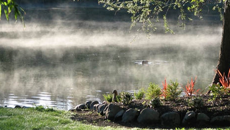 Lake Timara Lodge - Mist on the Lake