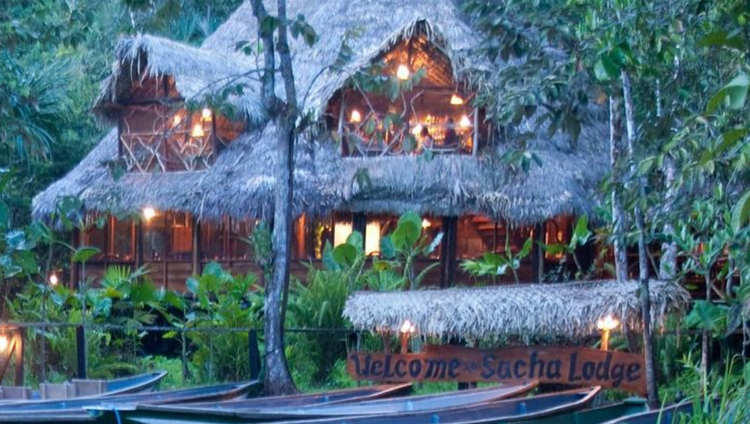 Sacha Lodge, Amazonas