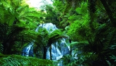 Treetops Lodge - Waterfall