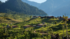 Hacienda AltaGracia - Landscape