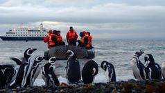 Australis - Exkursion zu Pinguinen auf der Ma