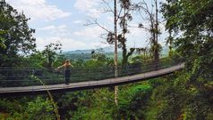 Nayara Tented Camp - Hängebrücke