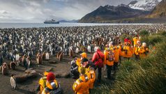 Quark Expedition - Bei den Pinguinen
